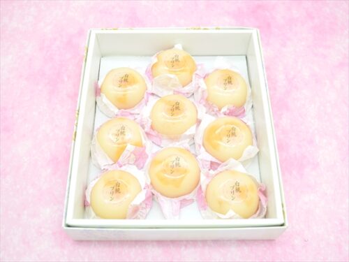 Hakuto pudding 9pcs image